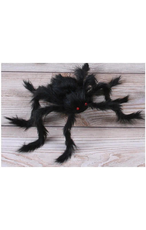 Behaarte Gruselspinne Schwarz