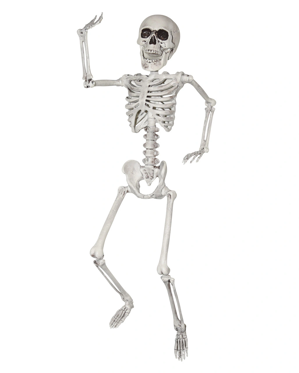 Halloween Kunststoff Skelett 60cm 1 Halloween Kunststoff Skelett 60cm