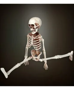 Bewegliches Skelett Gerippe 40cm -GruselZauber Verkäufe bewegliches skelett 40cm posable skeleton 40cm halloween deko skelett deko 52010 03