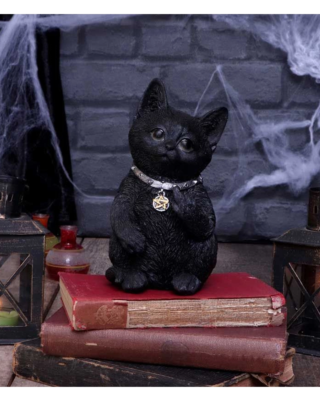 Freche Katze Zeigt Mittelfinger 16,5cm 7 Freche Katze Zeigt Mittelfinger 16,5cm – Bild 7