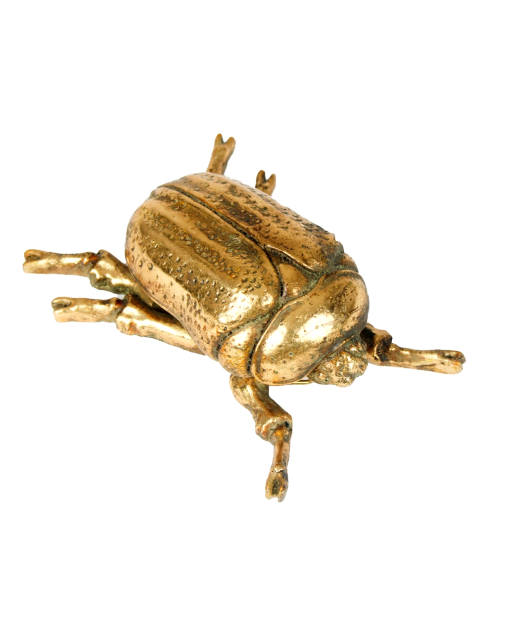 Goldfarbener Skarabäus Käfer Wandgestaltung 15cm 1 Goldfarbener Skarabäus Käfer Wandgestaltung 15cm