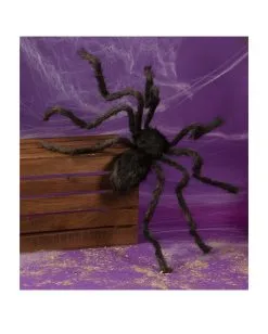 Schwarze Riesenspinne