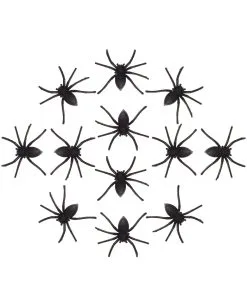 12 Halloween Spinnen