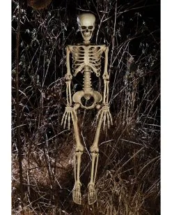 Bewegliches Knochenskelett 90cm -GruselZauber Verkäufe positionierbares knochenskelett halloween deko skelett mit beweglichen gelenken halloween und horror deko 52003 2