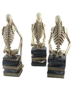 Skelette Auf Bücher Sitzend 3 Stück Als Set 35cm 5 Skelette Auf Bücher Sitzend 3 Stück Als Set 35cm -GruselZauber Verkäufe skelette auf buecher sitzend skeleton sitting on books skelett deko 54789 03