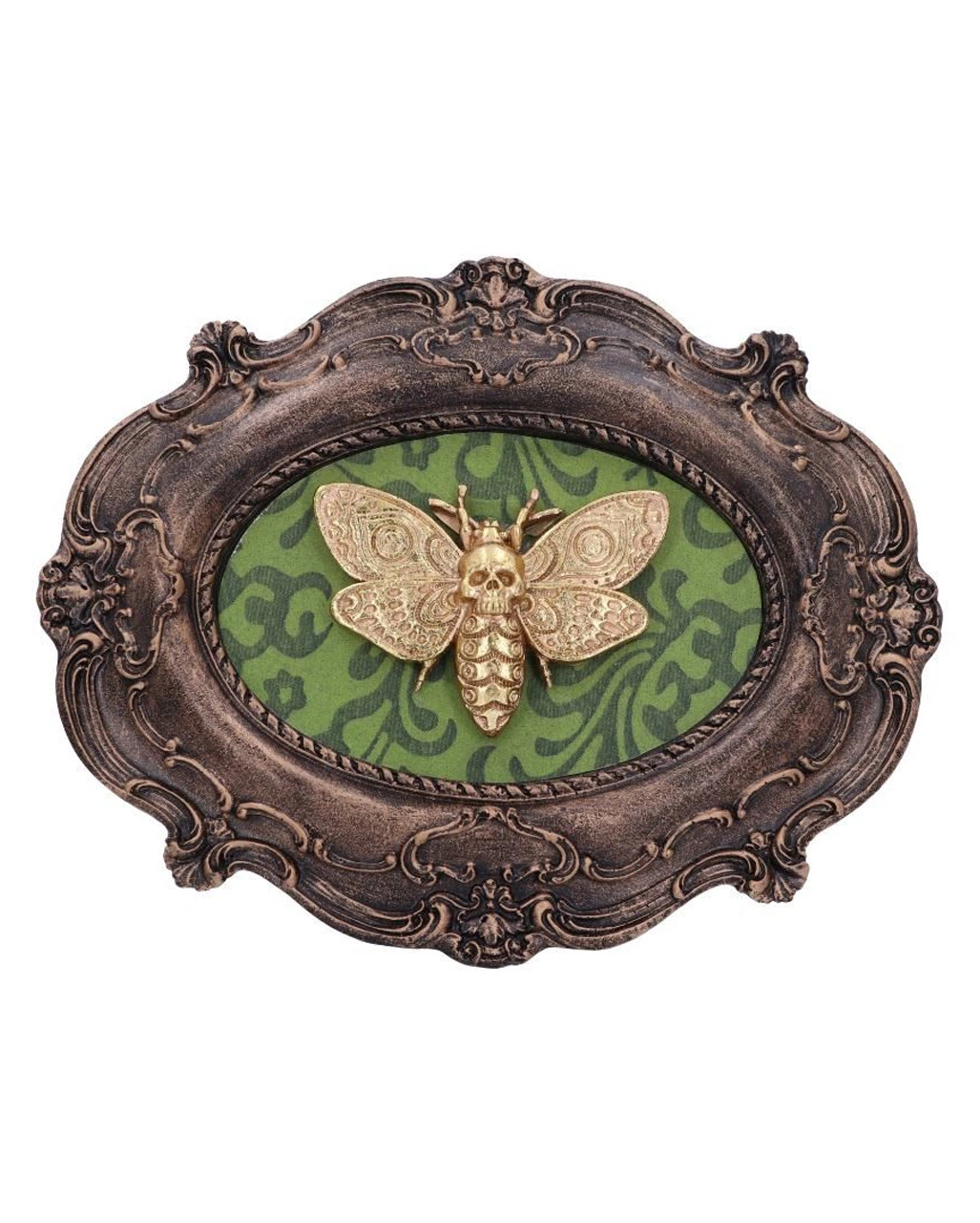 Totenkopfschwärmer Motte Wandbild 1 Totenkopfschwärmer Motte Wandbild